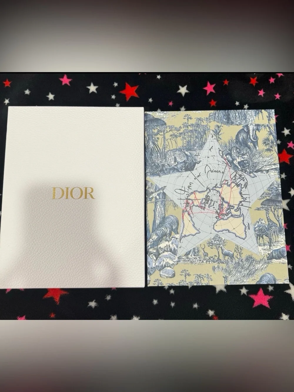 DIOR Exclusive Around The World Notebook & Pencils Stationary Set